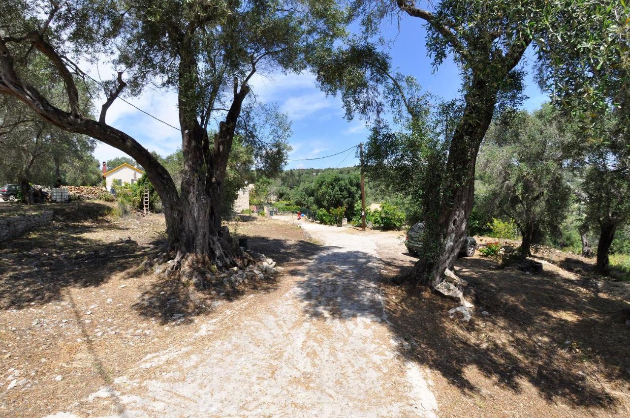 Adamantia Hotel Gaios Eksteriør bilde